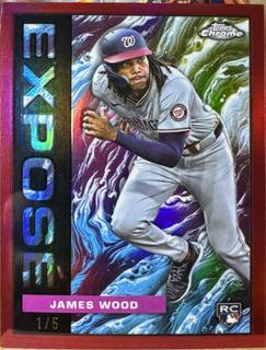 James Wood