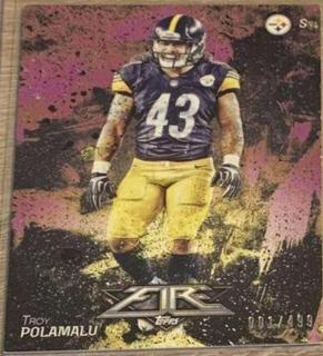 Troy Polamalu