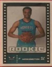 PJ Washington Jr.