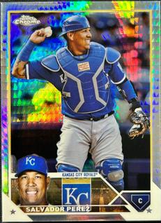 Salvador Perez