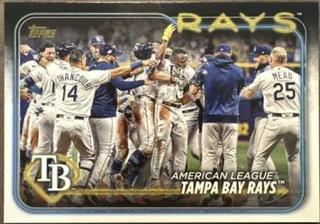 Tampa Bay Rays