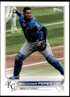 Salvador Perez