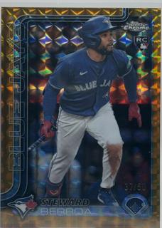 Steward Berroa
