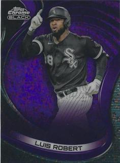 Luis Robert