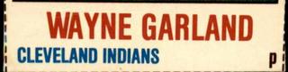 Wayne Garland