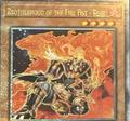 Brotherhood of the Fire Fist - Bear | YuGiOh Quarter Century Stampede