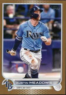 Austin Meadows