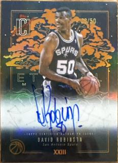 David Robinson