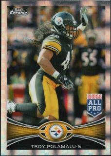 Troy Polamalu