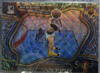 David Roddy