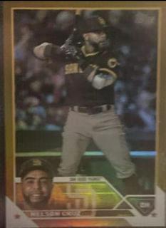 Nelson Cruz