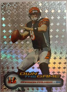 Carson Palmer