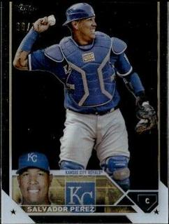 Salvador Perez