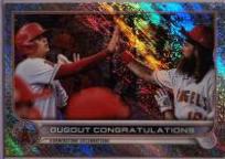 Ohtani / Marsh