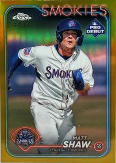 Matt Shaw