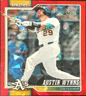 Austin Wynns