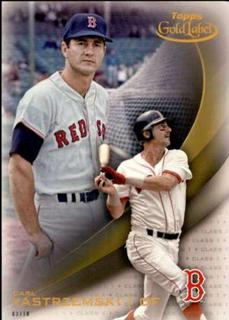 Carl Yastrzemski
