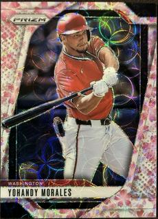 Yohandy Morales
