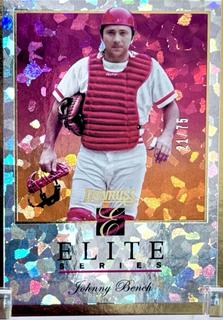 Johnny Bench