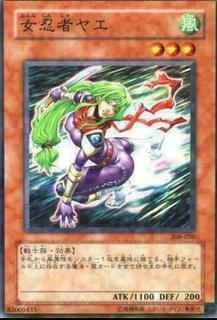Lady Ninja Yae 308-030