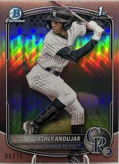 Ashly Andujar