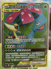 Venusaur & Snivy GX #62 Pokemon Chinese CSM2.5C Prices