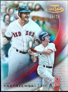Carl Yastrzemski