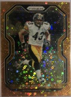 Troy Polamalu