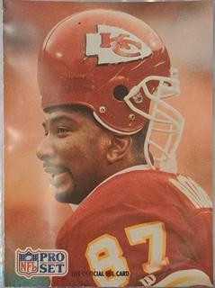 23 Annual Pro Football HOF Photo Contest