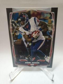 Andre Johnson