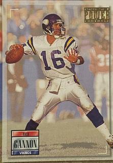 Rich Gannon