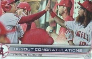 Ohtani / Marsh