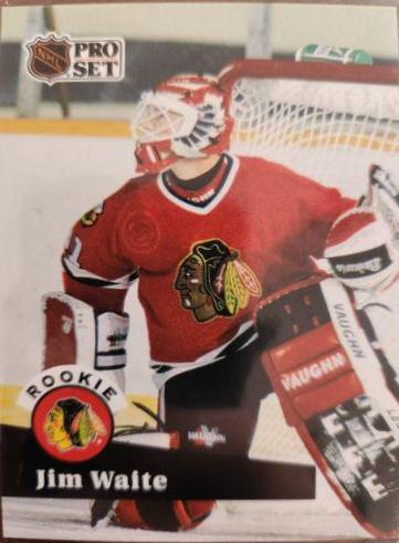 Jim Waite #530 Hockey Cards 1991 Pro Set