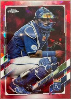 Salvador Perez