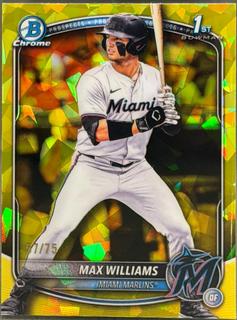 Max Williams