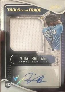 Vidal Brujan