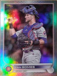 Yan Gomes