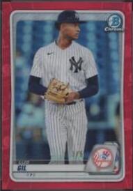 Luis Robert