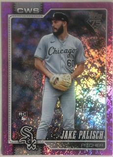 Jake Palisch