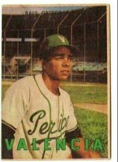Raul Ortega
