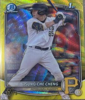 Tsung-Che Cheng