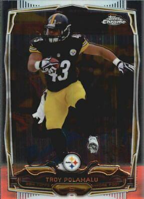 Troy Polamalu #30