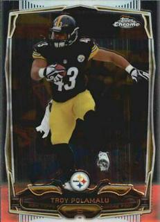 Troy Polamalu