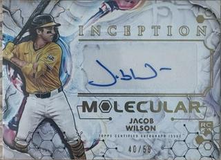 Jacob Wilson