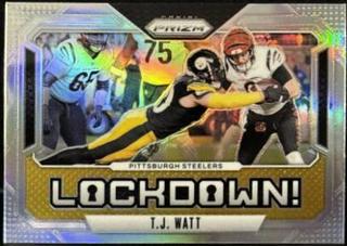 T.J. Watt
