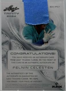 Felnin Celesten