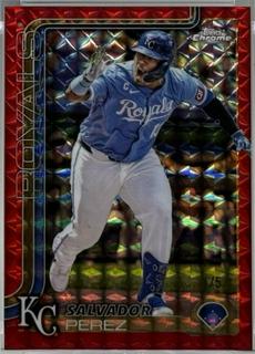 Salvador Perez