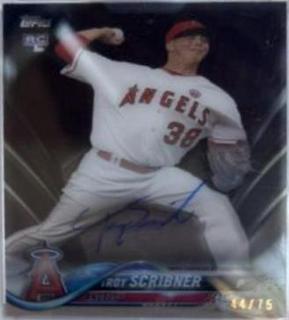 Troy Scribner