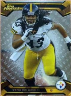 Troy Polamalu