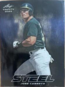 Jose Canseco